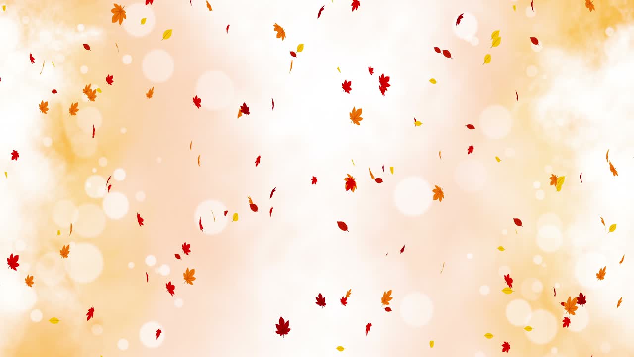 빛 은 잎은 빛과 함께 가을의 배경에서 흔들립니다. 아름다운 자연 장면. 일러스트레이션 메이플 잎. 가을 추상적인 그래픽. 루프 애니메이션.