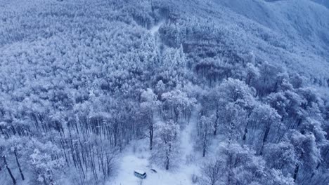 aerial winter symphony: snowplow carving the path to a cozy mountain hut