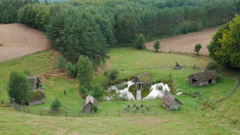 antiguos graneros con grandes círculos de piedra encerrados por una valla rústica en un exuberante asentamiento de pueblo verde en piaszno, pomorze en el norte de polonia - toma amplia