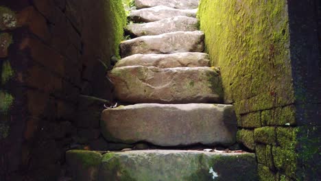 old stone staircase closeup, stairs view of ancient moss temple, establishing