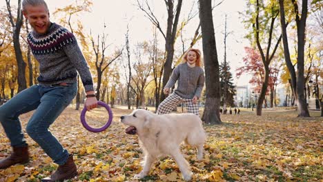 positive young man and woman playing with labrador dog at fall urban park, running and laughing, tracking shot