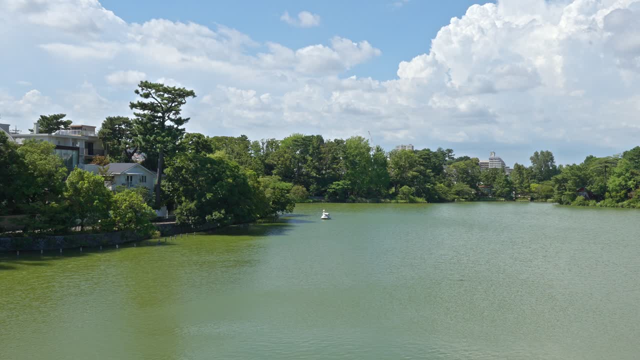 A tranquil view of Senzokuike Pond, with a boat in the distance, surrounded by green trees and foliage under a bright sky in Tokyo, Japan.