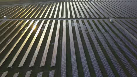 aerial view of a large solar farm at sunset