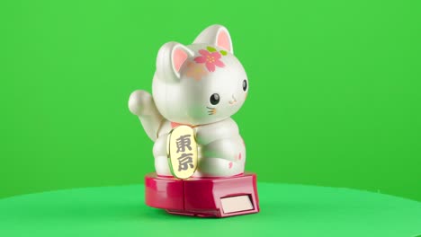 Maneki-Neko,-Japanisches-Glückskatzensymbol-Mit-Sakura,-Sagt-„Hallo“,-Goldmünze,-Glück-Auf-Grünem-Hintergrund,-Chroma-Key-Hintergrund,-Ersatz-Hintergrundobjekt-In-Einer-Drehscheibe,-3D-Drehschleife