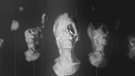 broken mannequin head shells in xray
