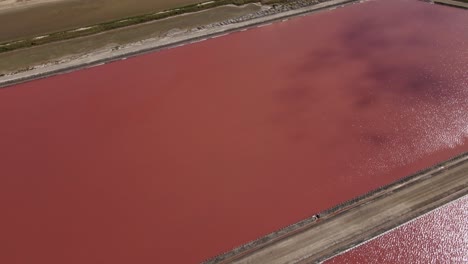 Aerial-shot-of-bright-pink-Salt-ponds-tilt-up-to-reveal-mountain-ranges