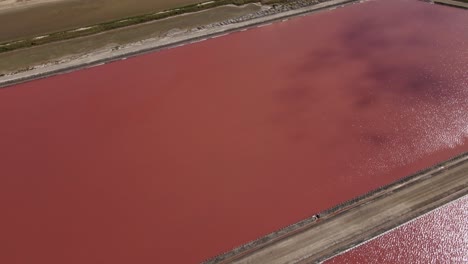 aerial shot of bright pink salt ponds tilt up to reveal mountain ranges