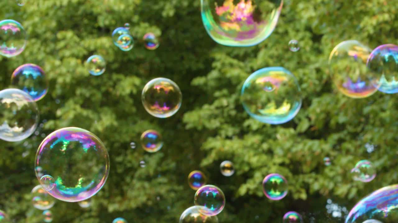 Bolle di sapone colorate fluttuano nell'aria su uno sfondo di vivaci foglie verdi del parco