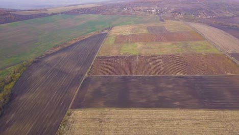 Seitwärts-über-Unterschiedlich-Strukturierte-Und-Farbige-Felder-Fliegen