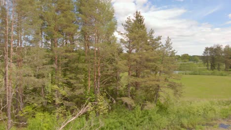 Serene-aerial-view-of-pond-with-trees-in-Kurzeme-park,-northern-Europe