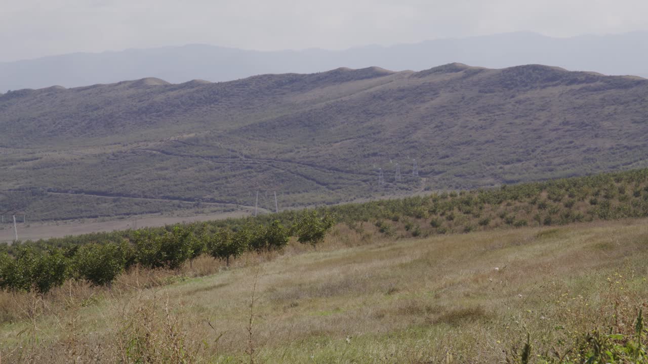 Serene Mountain Landscape with Orchard