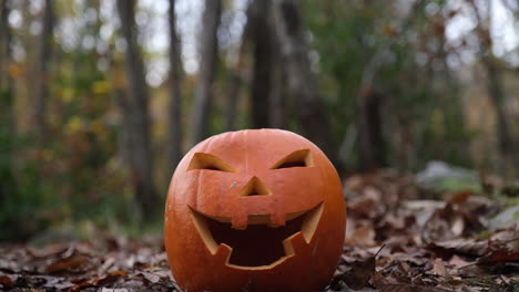 halloween spooky jack o lantern pumpkin face glowing in the forest in autumn