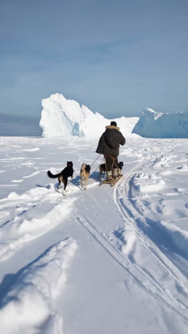 a person dog sledding across a vast snowy landscape with dogs under a clear sky