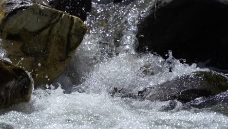 water is flowing through a mountain torrential river.