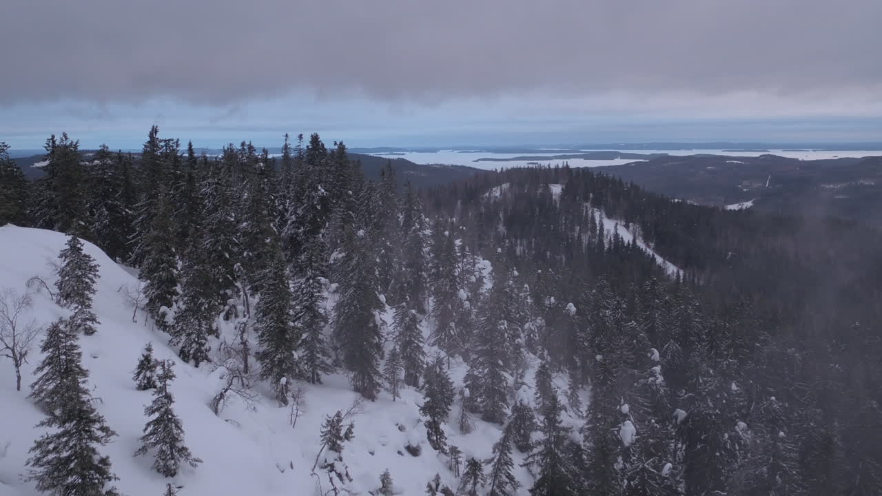 antena cinematográfica absolutamente impresionante de una fría montaña nublada koli en finlandia