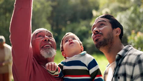 naturaleza, wow y el padre con el niño