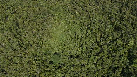 Dichte-Dschungelberge-In-Santiago---Philippinen