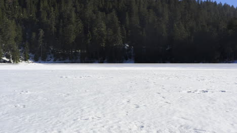 aerial shot at very low altitude over frozen lake in the black forest