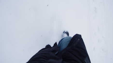 person walking in the snow