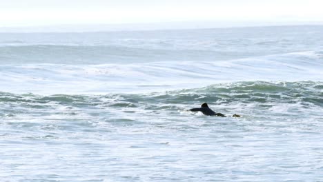 Surfer-Surfen-Im-Meer