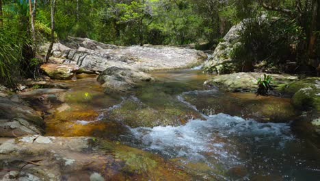 Corriente-De-Agua-Del-Parque-Nacional-Springbrook-A-Cascadas,-Costa-Dorada,-Queensland,-Australia