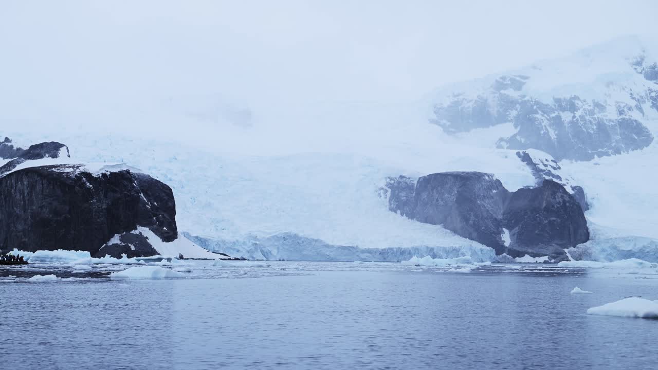 Antarctica Scenery and Penguins Jumping and Porpoising while Swimming in the Water in the Southern Ocean Sea, Sow Motion Antarctica Wildlife of Amazing Gentoo Penguin Animal Behaviour in Antarctic