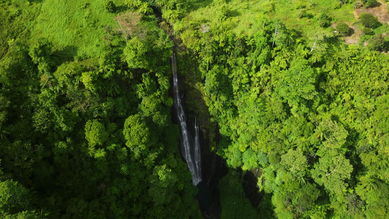 cascada papapai-uta, una de las cascadas más altas de upolu en samoa - toma aérea con drones