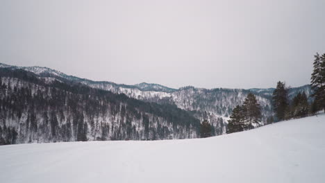 Riesige-Waldberge,-Die-Im-Winter-Mit-Weißem-Schnee-Bedeckt-Sind