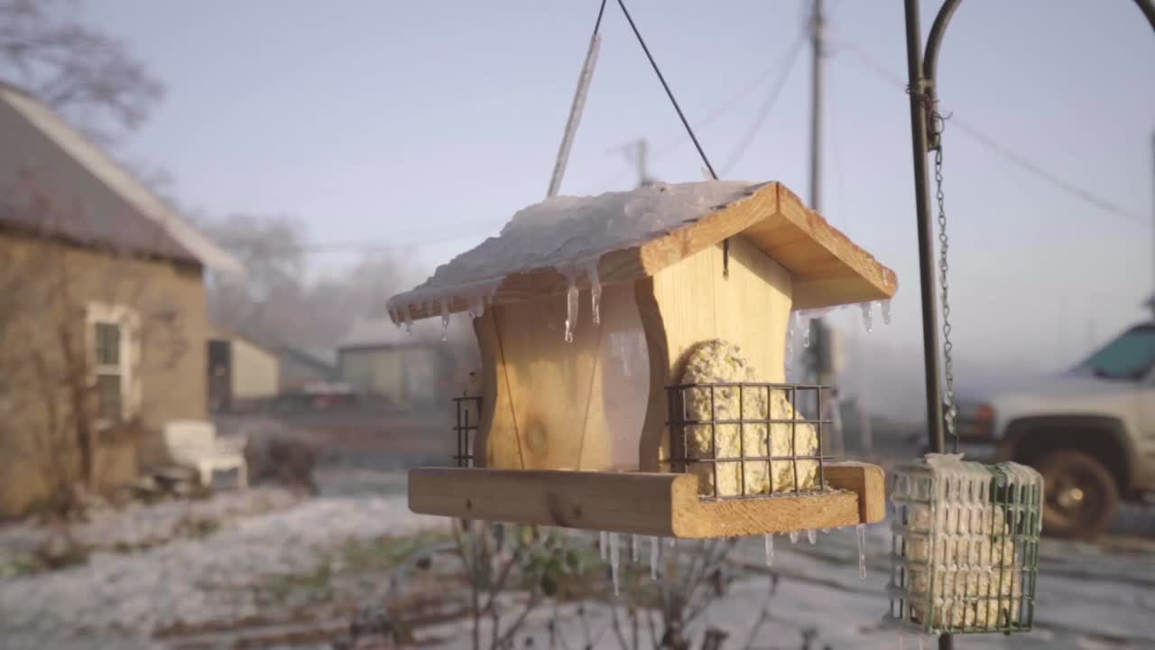 A cold January morning along with some winter precipitation and a bright sunrise make for some interesting details.