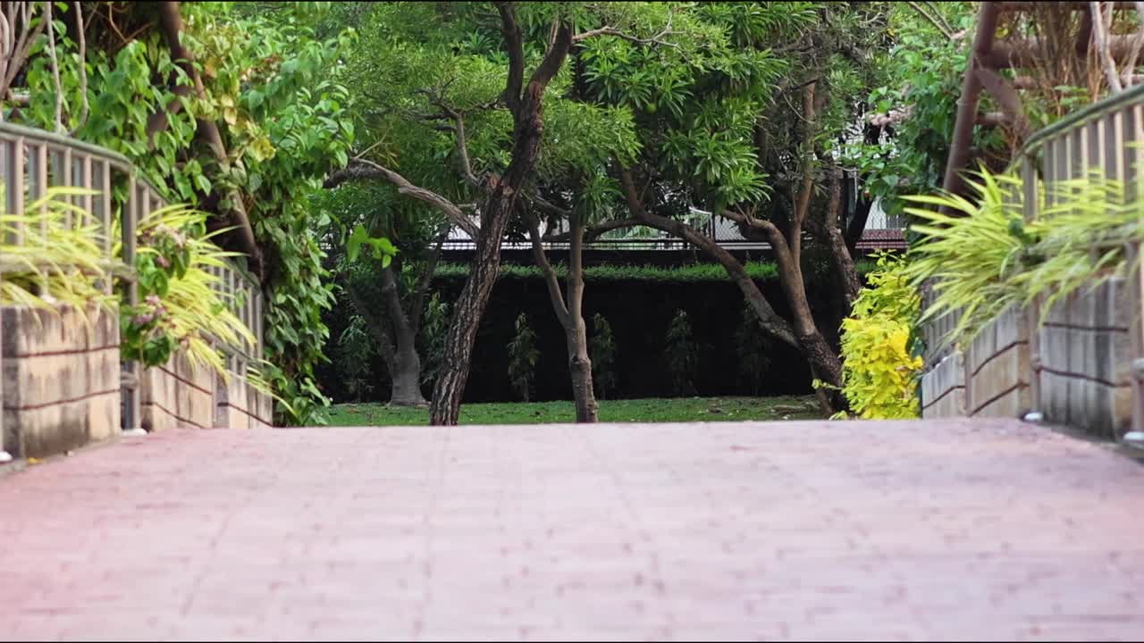 울창 한 초록색 으로 둘러싸인 조용 한 산책로