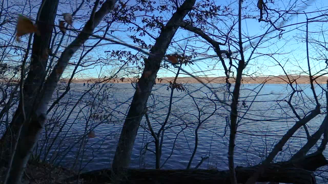 숲 근처의 강가를 따라 걷는 1인칭 시점