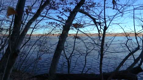 una vista en primera persona de un paseo junto a un río cerca de un bosque