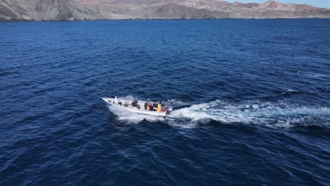 Seagull-races-fishing-boat-as-it-glides-and-makes-a-turn-in-open-ocean