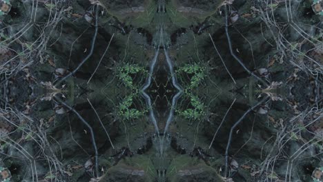 greenery kaleidoscope using forest imagery from wissahickon creek, philadelphia, #3