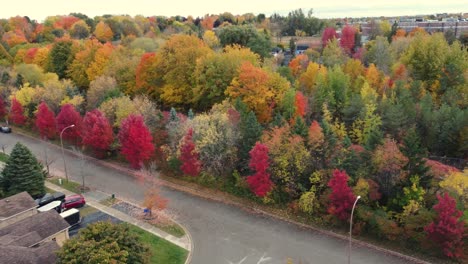 Vista-Aérea-Del-Complejo-De-Carreteras-Y-Viviendas-Con-árboles-Coloridos-En-Otoño