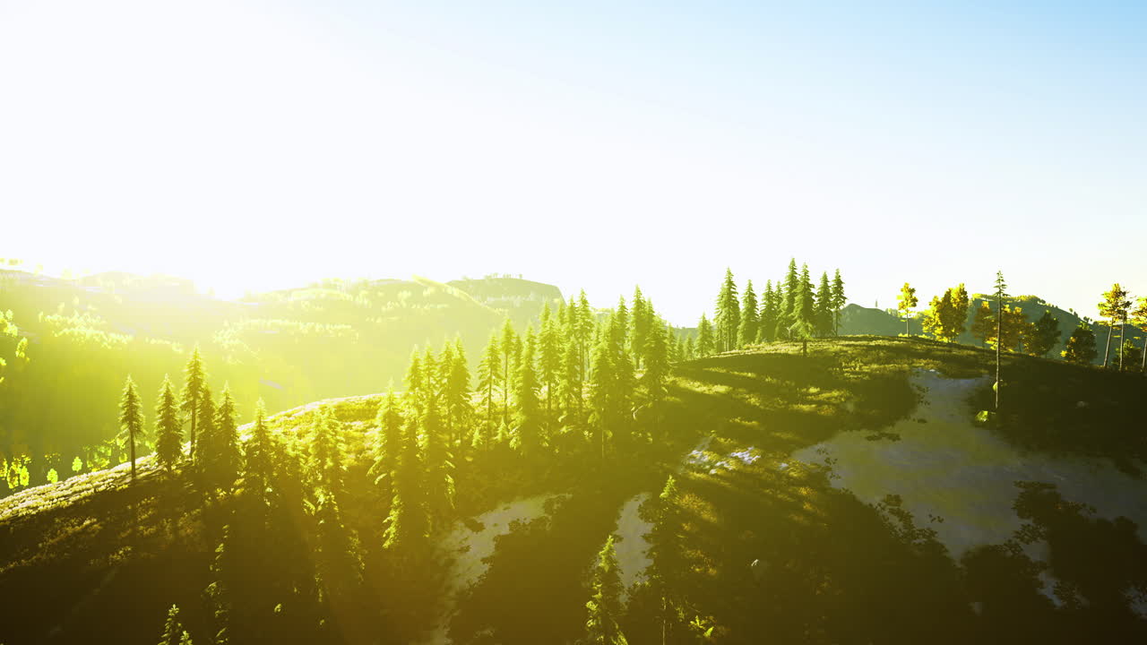 울창한 초록색과 밝은 하늘로 굴러가는 언덕 위의 해가 뜨는 것