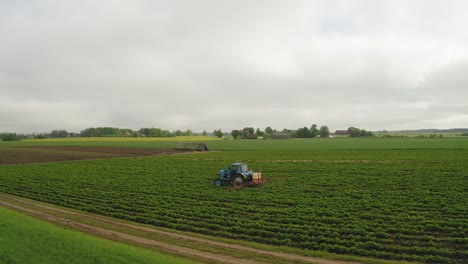 Amplia-Vista-Panorámica-Aérea-En-Un-Tractor-Rociando-Pesticidas-En-El-Campo-De-Fresas-Contra-La-Enfermedad