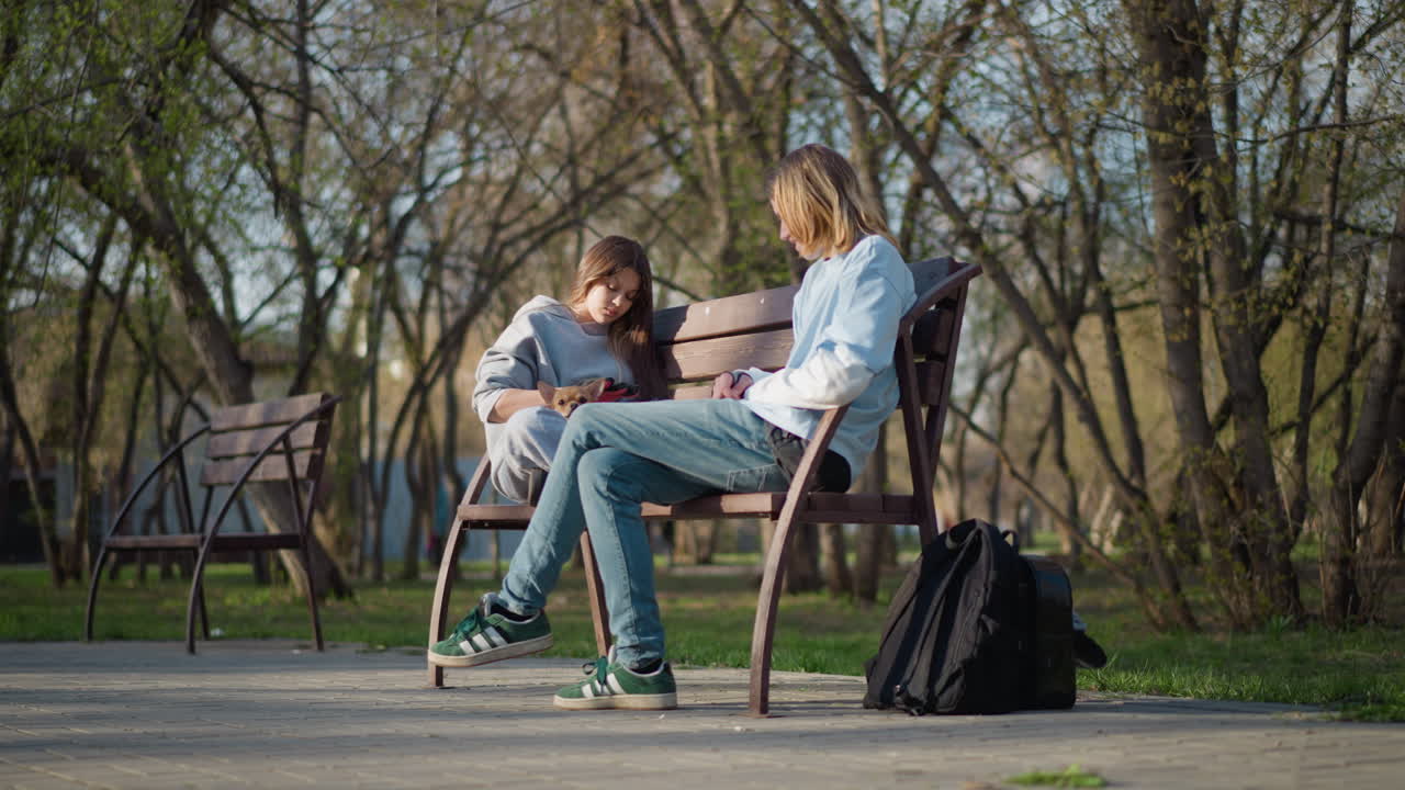 Ungdommelig supportscene, gruppe af teenagere, der udviser medfølelse midt i naturskønne omgivelser, unge mennesker, der udviser støttende adfærd i fredfyldte parkomgivelser med træer og sollys