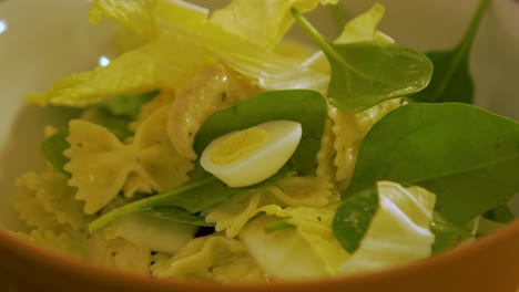 the cook tops cut egg on pasta salad with chicken, fresh green spinach and napa cabbage, handheld close up shot