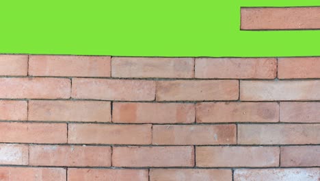 brick wall construction. red bricks installing, building wall. concept of construction, protection, craftsmanship and module structure.