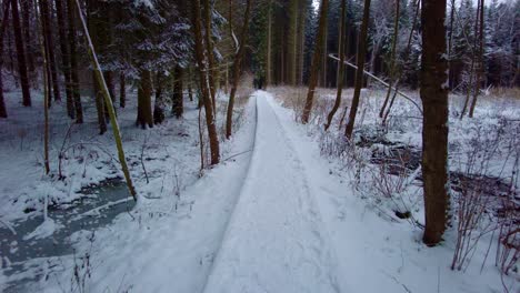 Un-Camino-Que-Conduce-A-Través-Del-Bosque