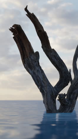 árbol muerto en el agua con cielo azul y nubes