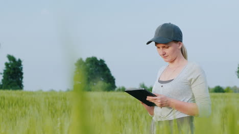 Mujer-Agricultora-Con-Tableta-En-Mano-Se-Encuentra-En-Campo-De-Trigo-Verde