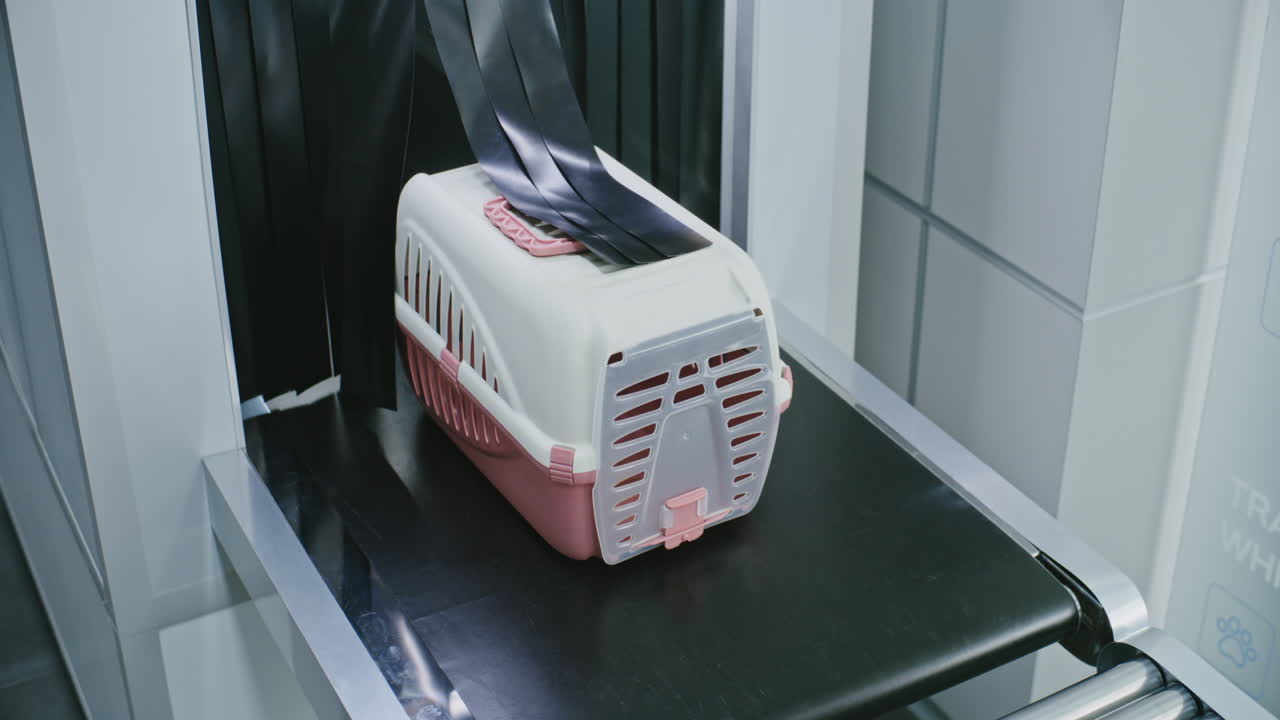 Airport Security Screening of Pet Carrier