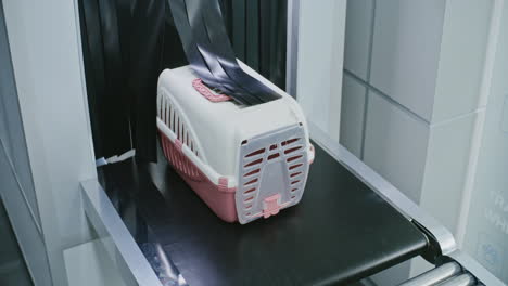 airport security screening of pet carrier