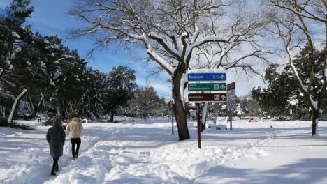 Blick-Auf-Eine-Straße-In-Casa-De-Campo,-Madrids-Größtem-Park,-Nach-Sturm-Filomena,-Im-Januar-2021