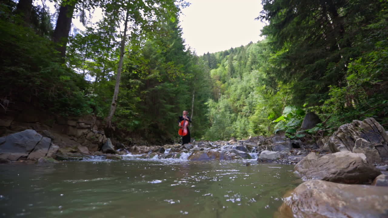 Female in dress playing on cello. Beautiful woman in dark dress plays the cello on nature