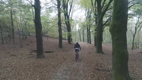 Behind-drone-shot-of-mountainbiker-riding-through-forest