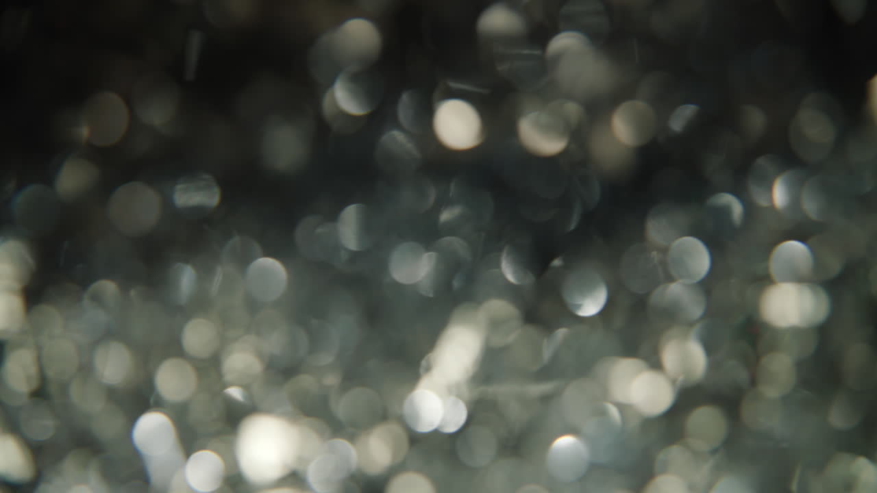 la magia de las vacaciones