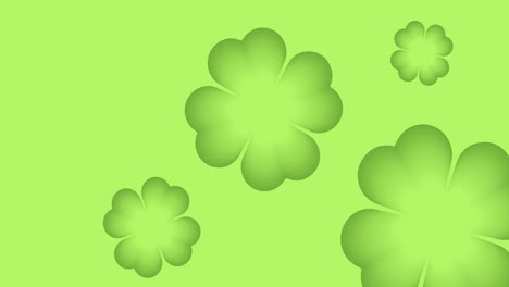clover leaves loop on a light green background. 4k
